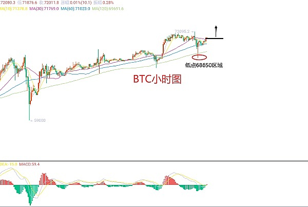 熊市里的烟火：当山寨币玩起快闪游戏