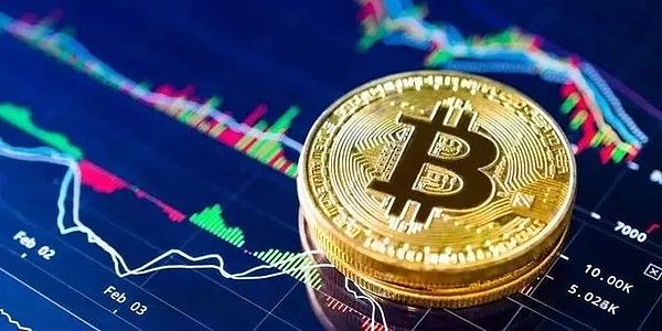 投资路上，我学会的两个简单道理：回归常识，守住本分